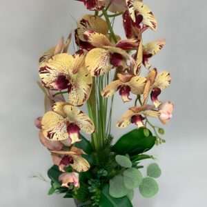 Storczyk w ceramicznej donicy wys. 73 cm