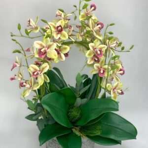 Storczyk w ceramicznej donicy wys. 50 cm
